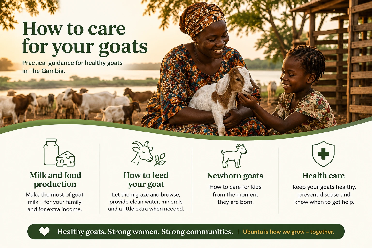How to care for your goats: practical guidance for healthy goats in The Gambia