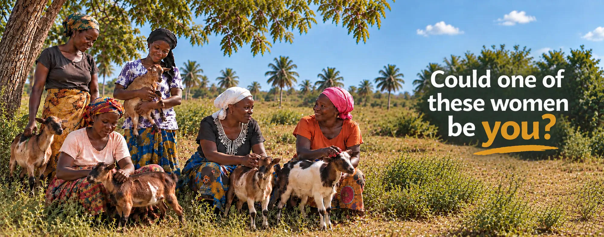 Five women together with five goats in a rural Gambian landscape